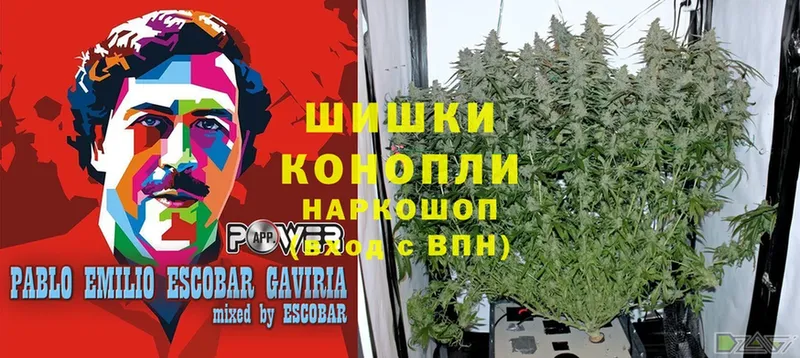 купить закладку  Дмитров  МАРИХУАНА Bruce Banner 